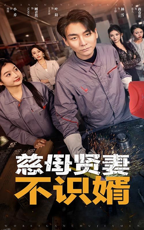 慈母贤妻不识婿 海报