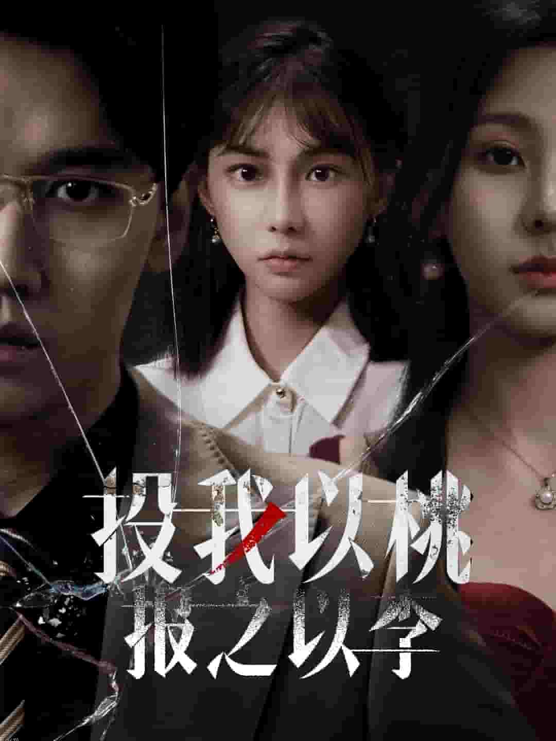 投我以桃报之以李 海报