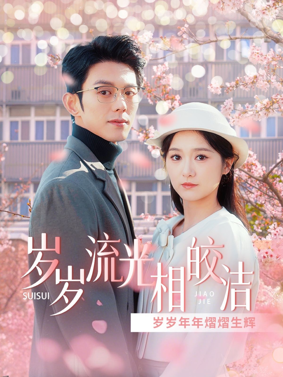 岁岁流光相皎洁 海报