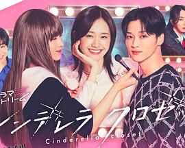 灰姑娘的魔法衣橱 海报