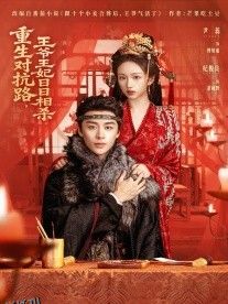 重生对抗路，王爷王妃日日相杀 海报