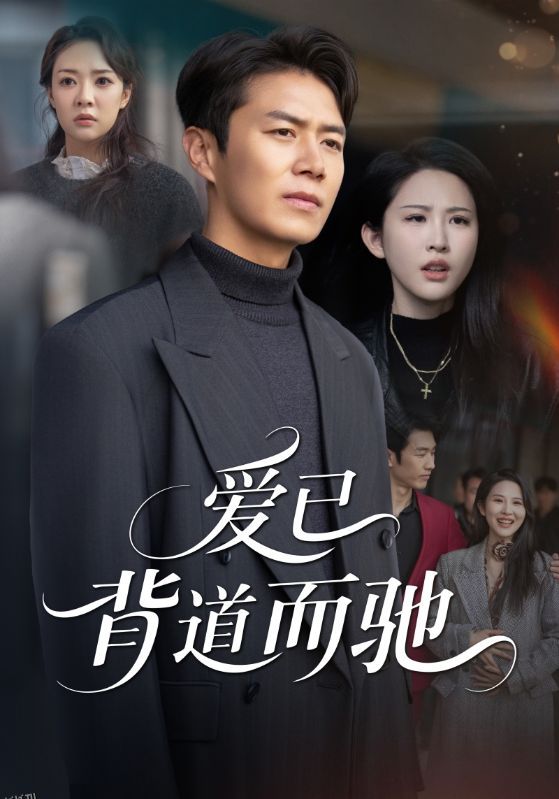 爱已背道而驰 海报
