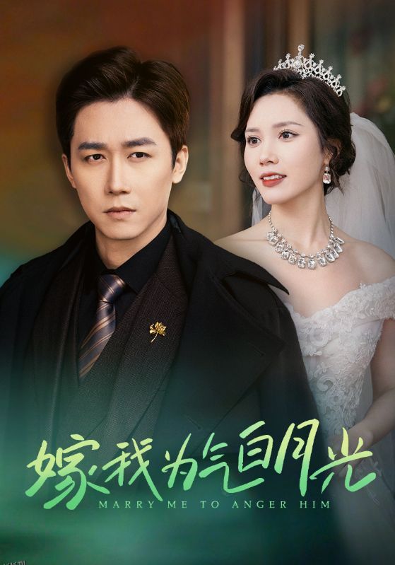 嫁我为气白月光 海报