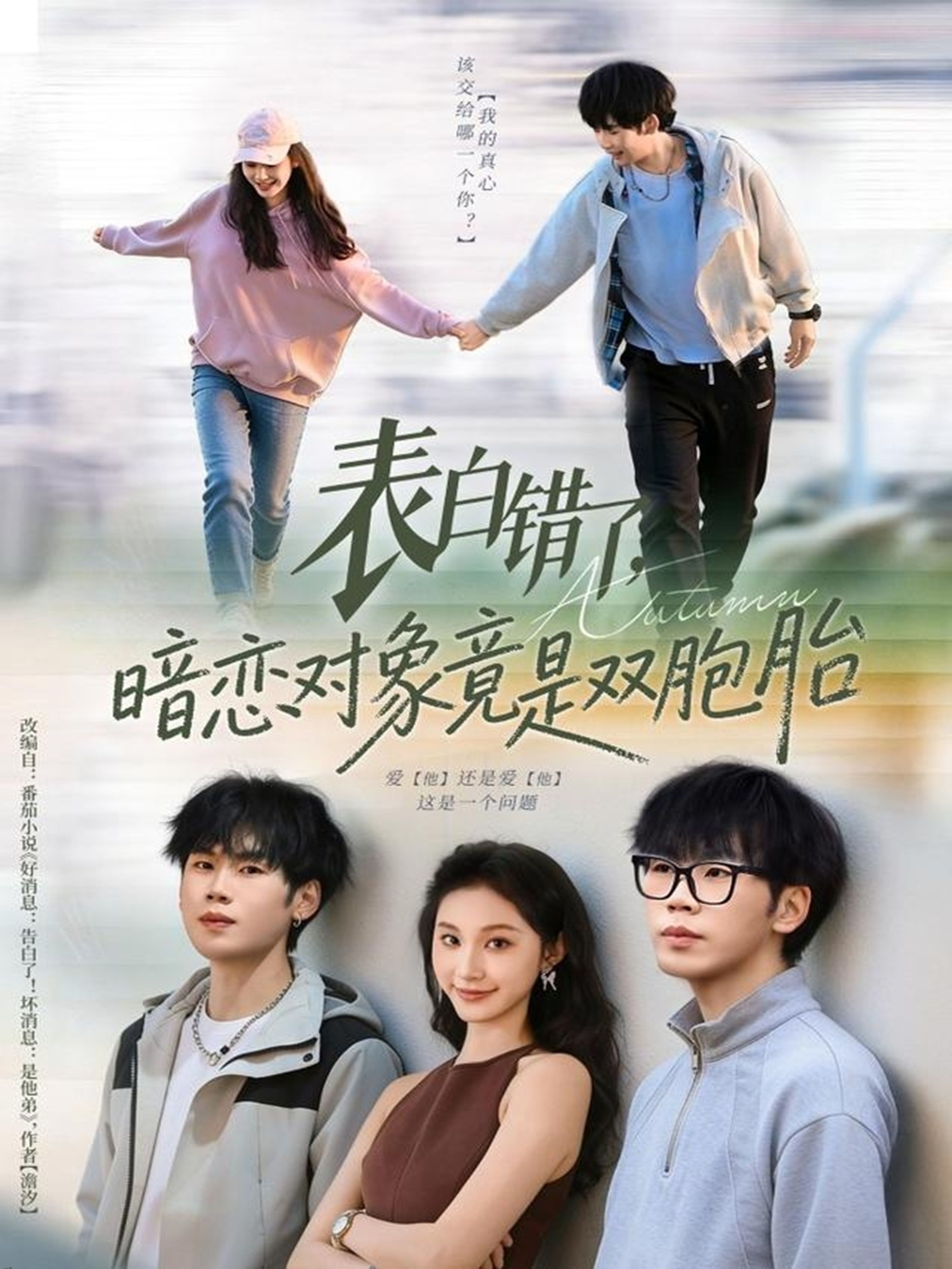 表白错了暗恋对象竟是双胞胎 海报