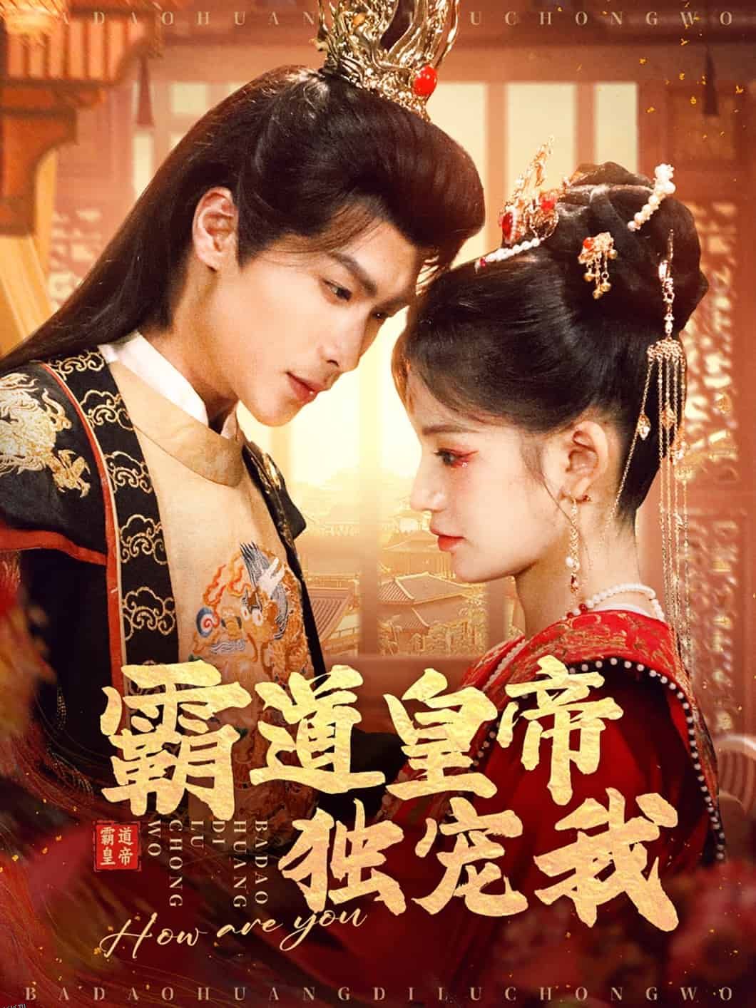 霸道皇帝独宠我 海报