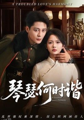 琴瑟何时谐 海报