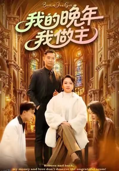 我的晚年我做主 海报