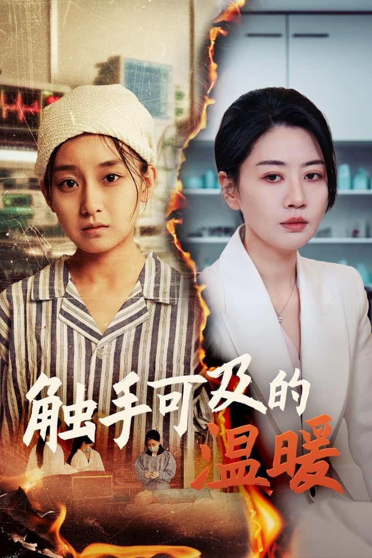 触手可及的温暖 海报