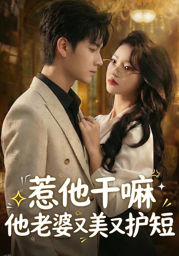 惹他干嘛他老婆又美又护短 海报