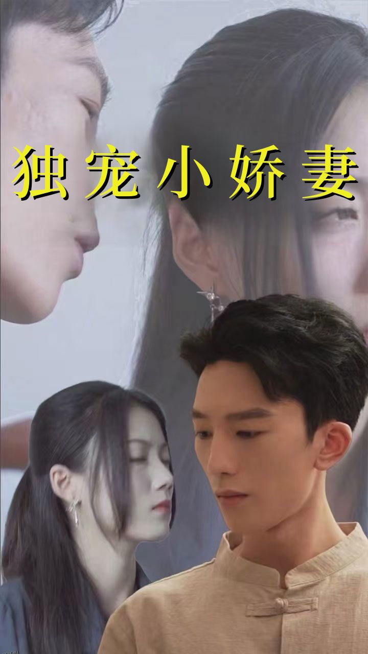 独宠小娇妻 海报