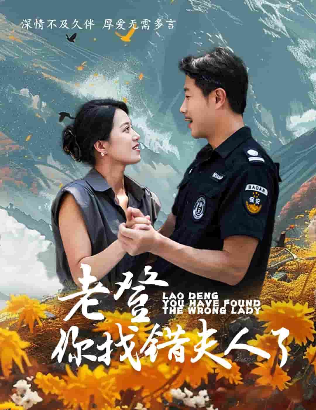 老登你找错夫人了 海报