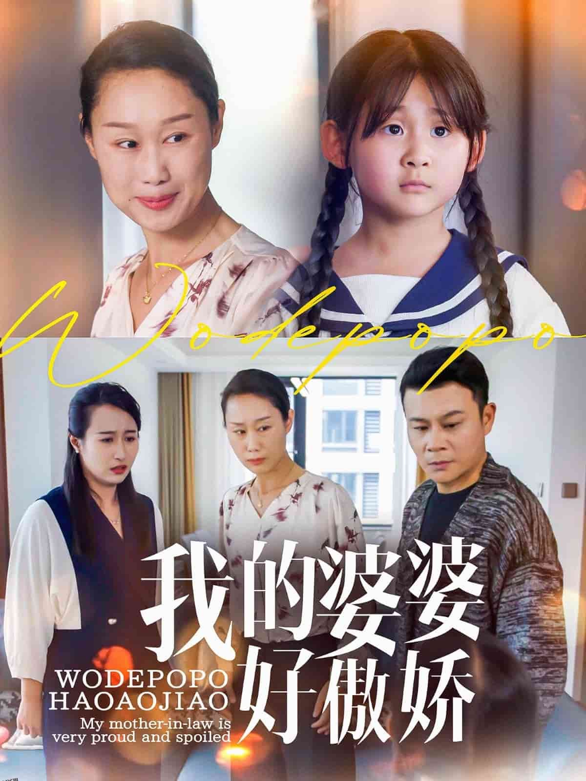 我的婆婆好傲娇 海报