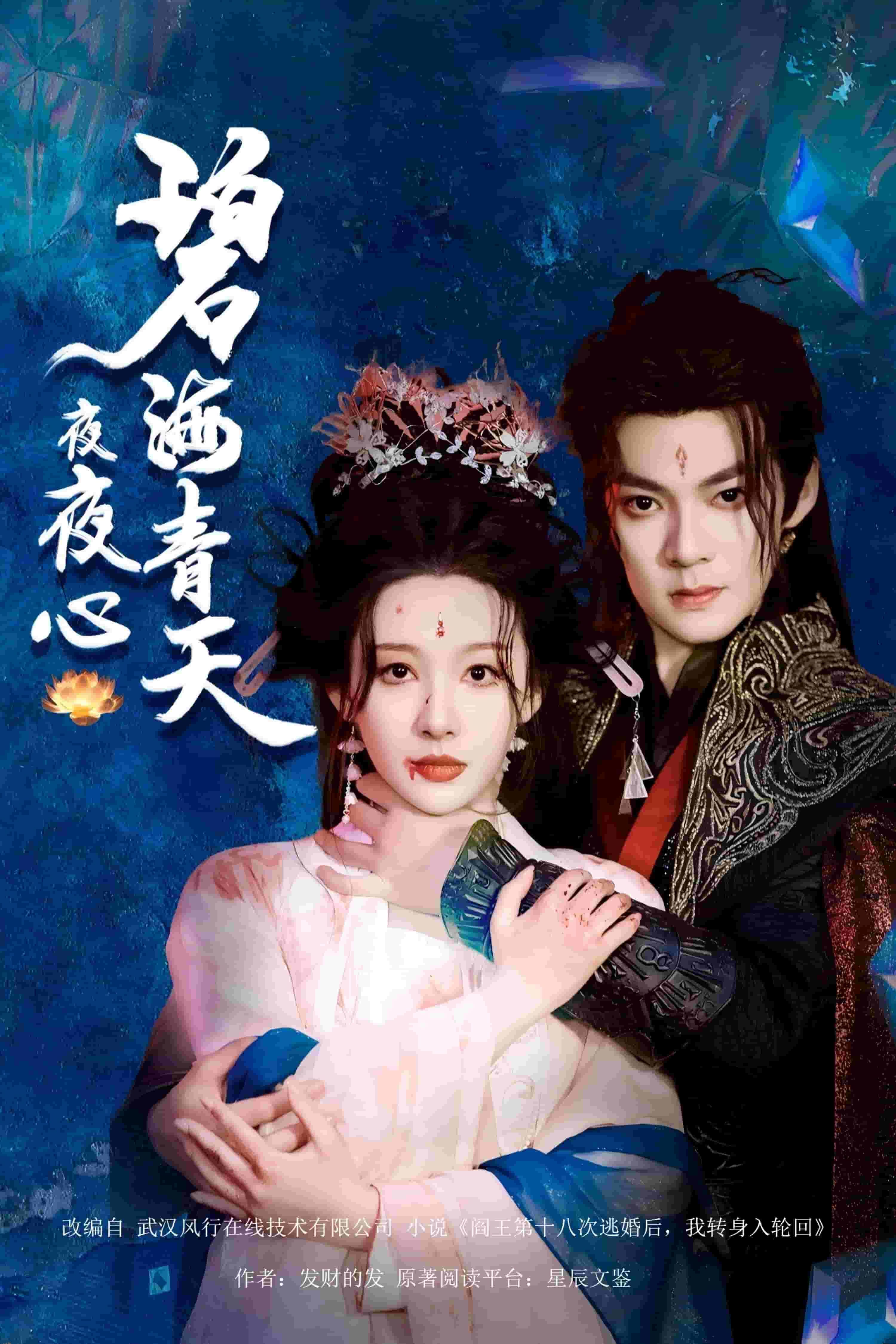 碧海青天夜夜心 海报