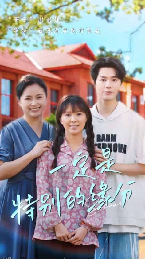 一定是特别的缘分 海报