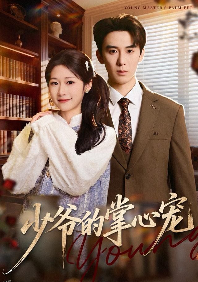 少爷的掌心宠 海报