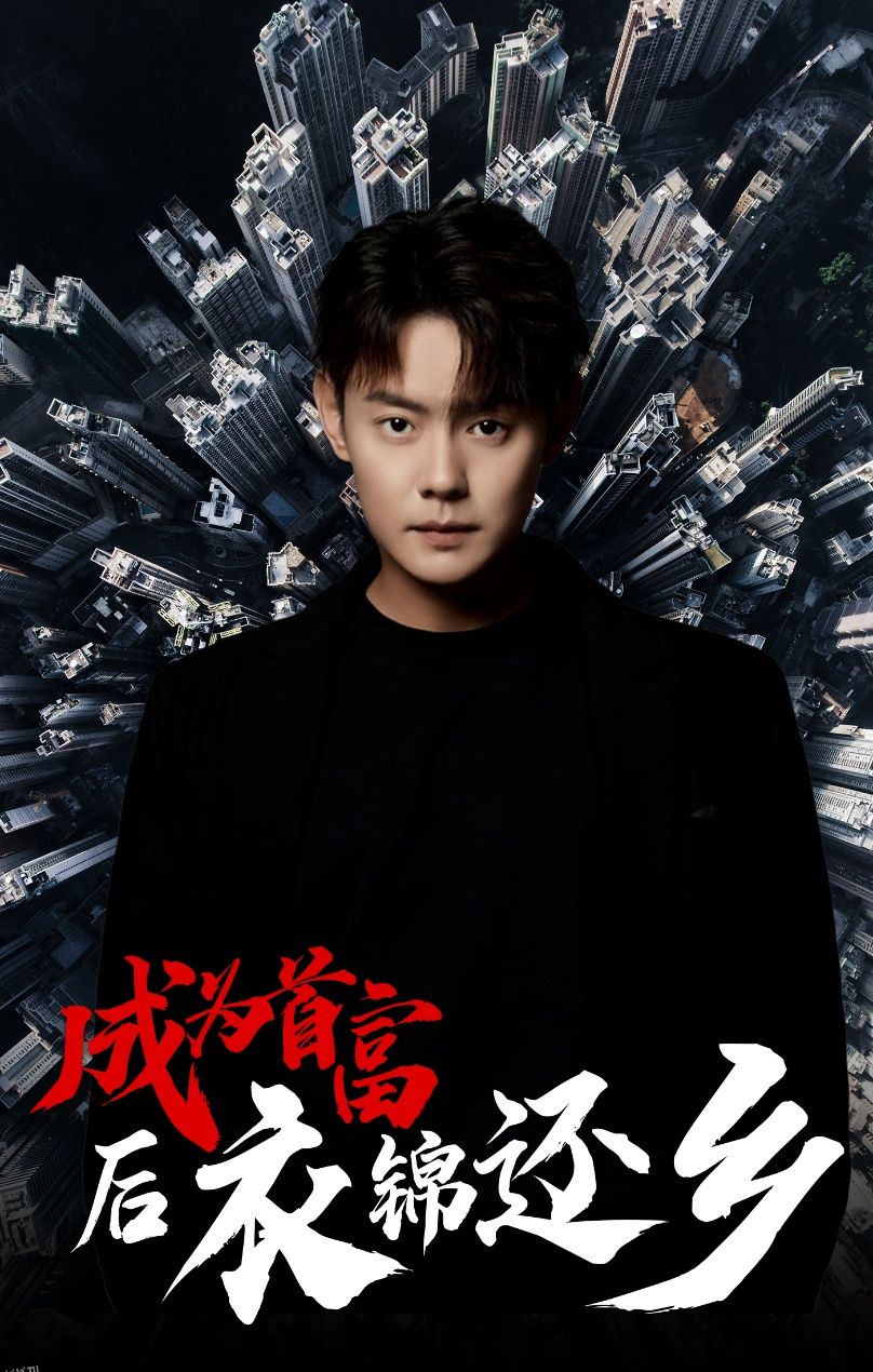 成为首富后衣锦还乡 海报