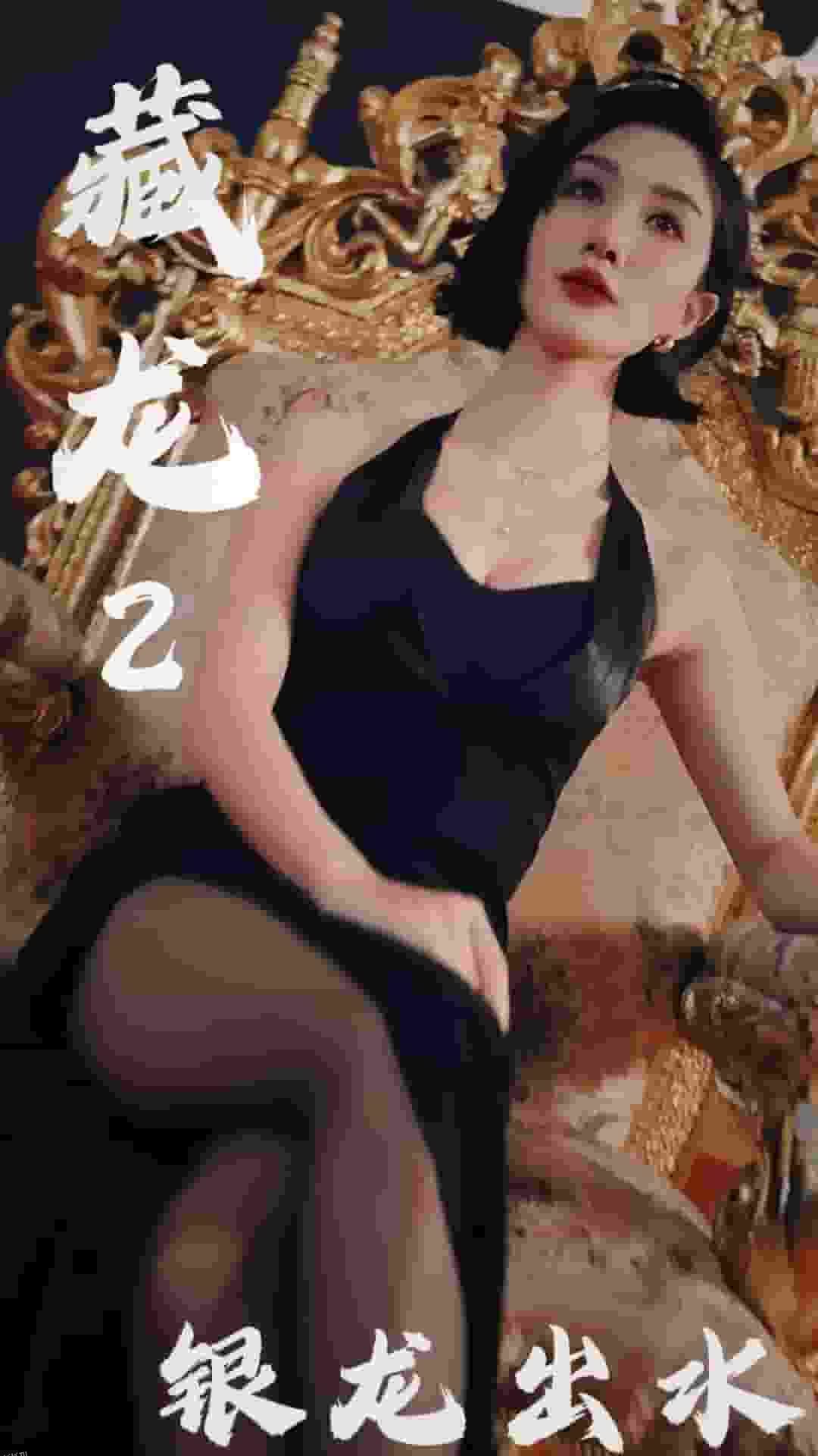 藏龙2银龙出水 高清海报