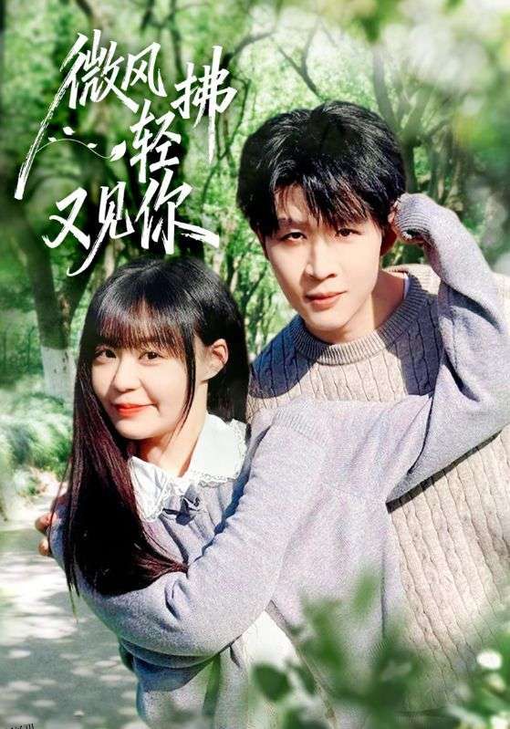 微风轻拂又见你 海报