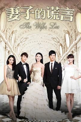 妻子的谎言2015 海报