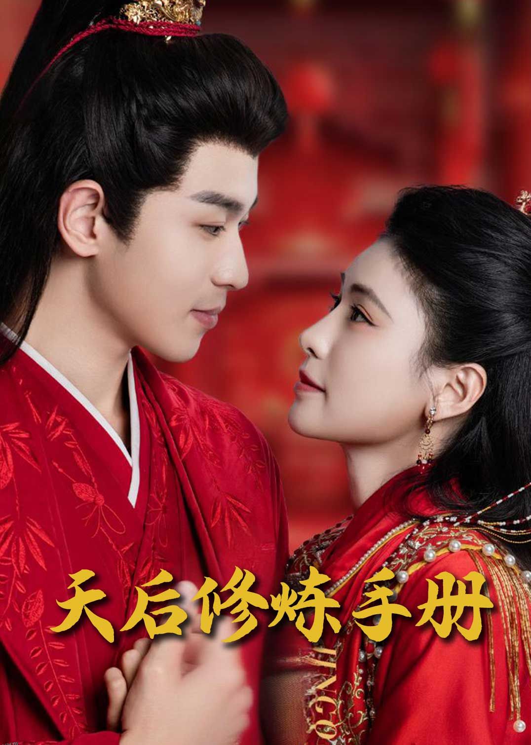 王妃娘娘闯现代 海报