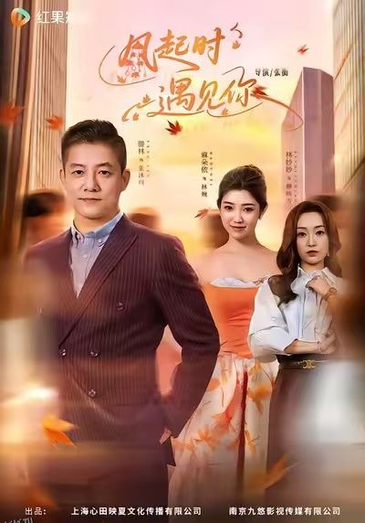 风起时遇见你 海报