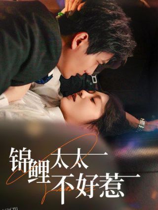 锦鲤太太不好惹 海报