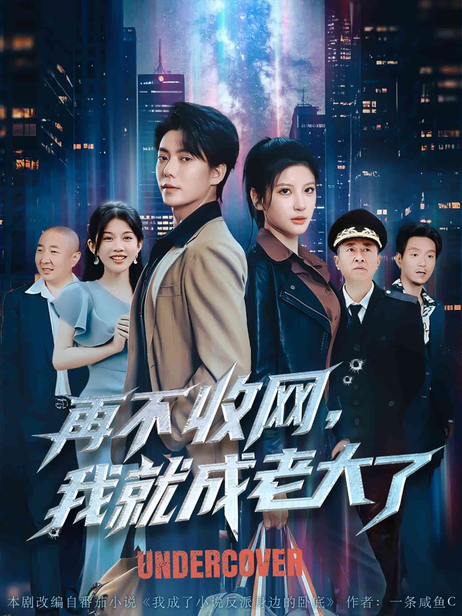 再不收网我就成老大了 海报