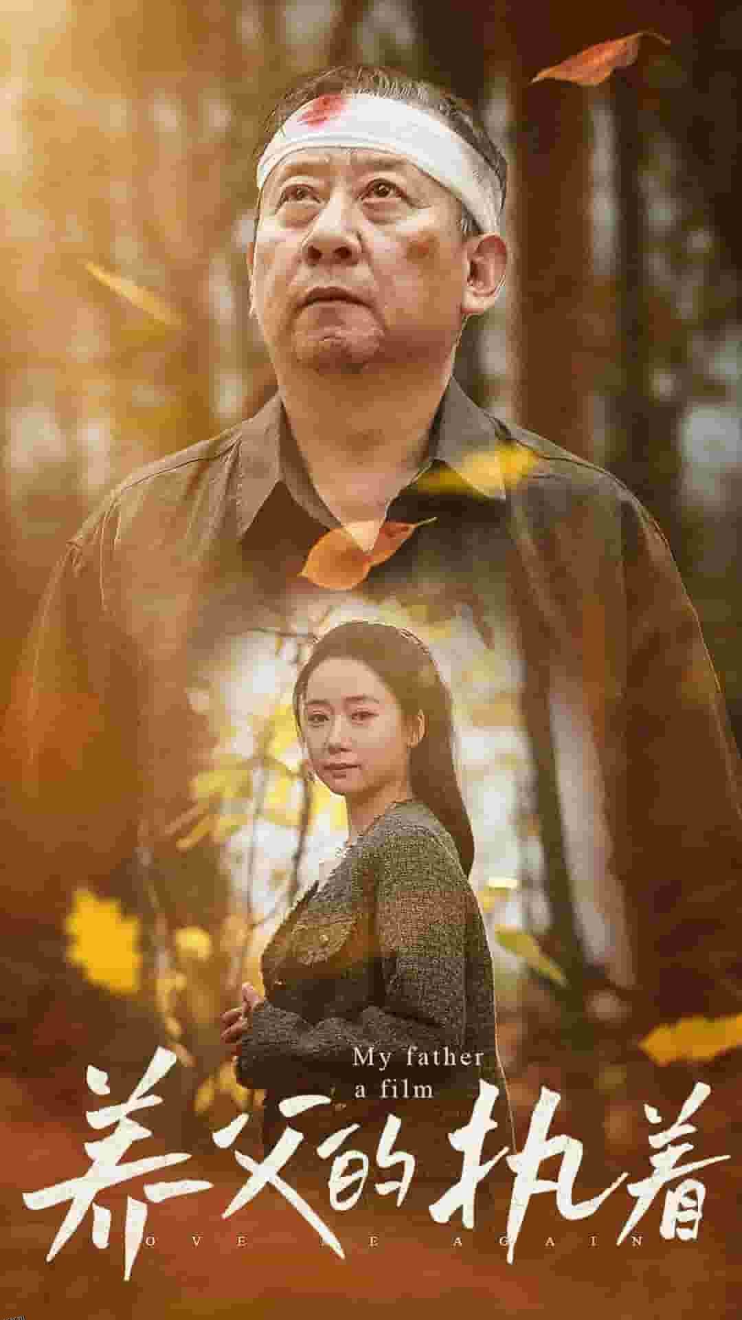 养父的执着 海报