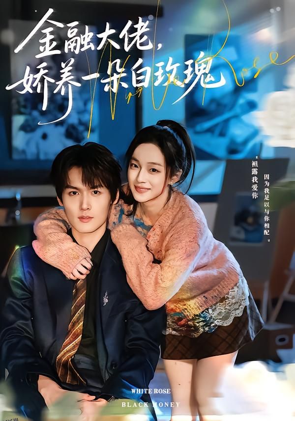 金融大佬，娇养一朵白玫瑰 海报