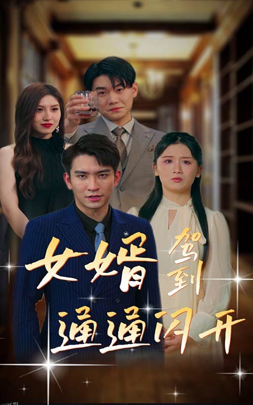 女婿驾到，通通闪开 海报