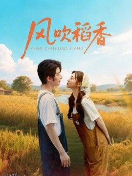风吹稻香 海报