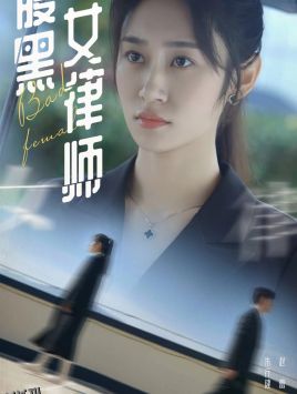 腹黑女律师 海报