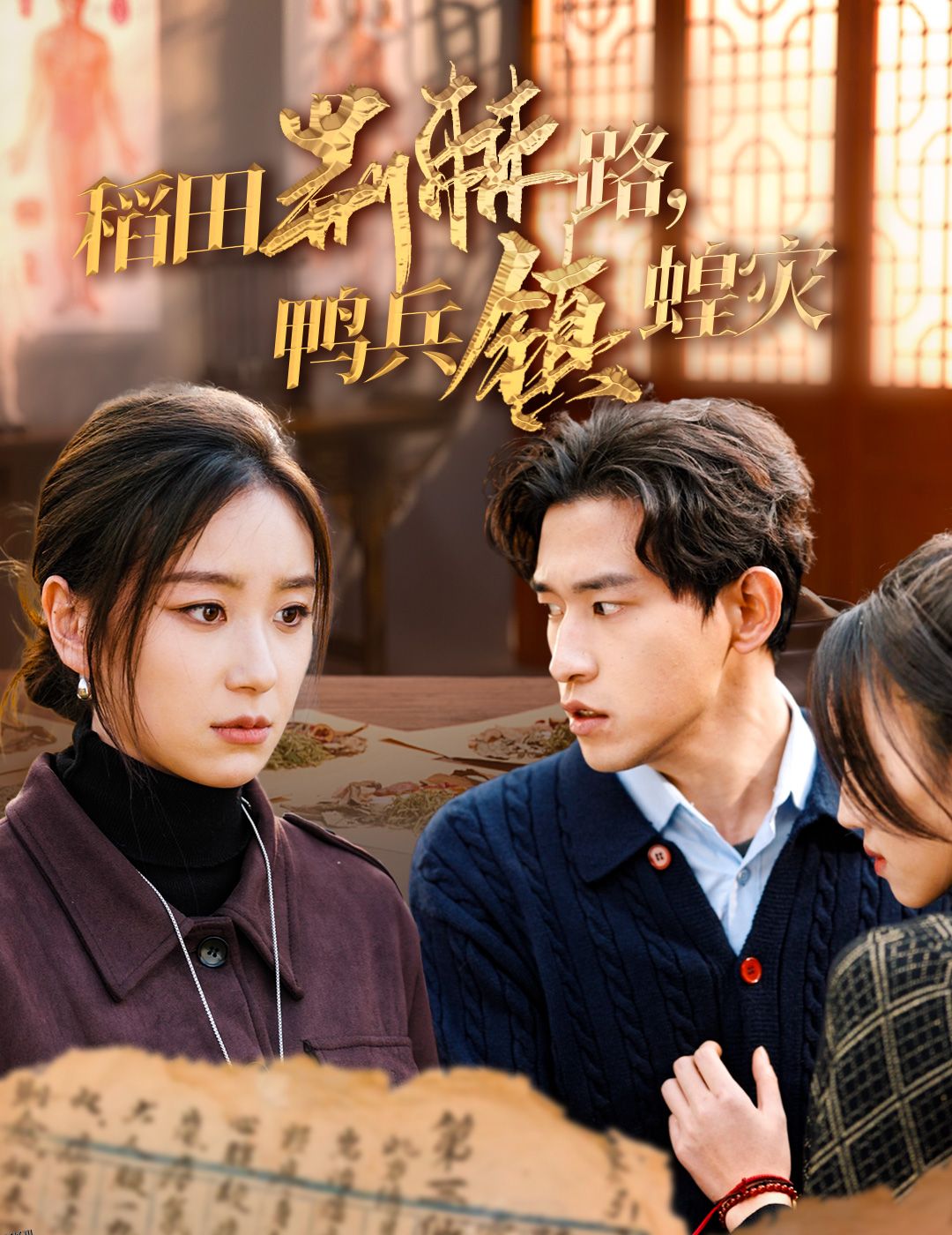 稻田荆棘路鸭兵镇蝗灾 海报