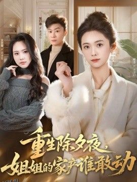 重生除夕夜，姐姐的家产谁敢动 海报