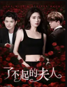 了不起的夫人 海报