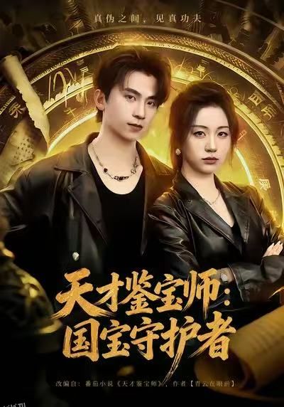 天才鉴宝师：国宝守护者 海报