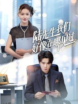 陆先生我们好像在哪见过 海报