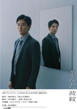 扭曲的波纹 海报