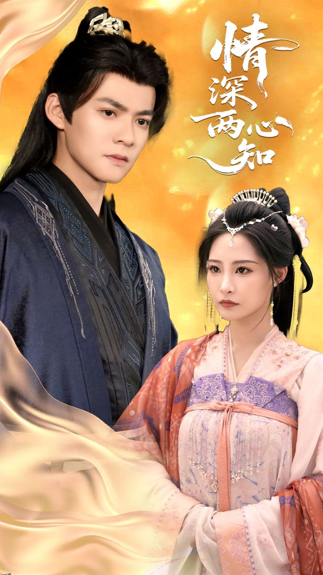 情深两心知 海报