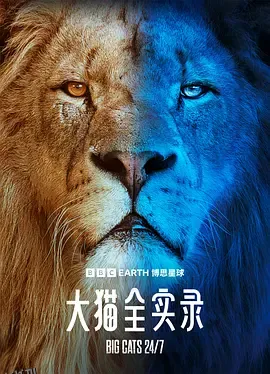 大猫全实录 海报