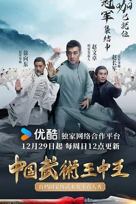 中国武术王中王 海报