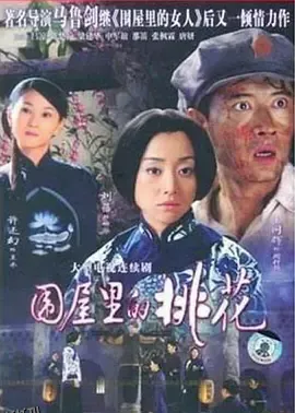 围屋里的桃花 海报