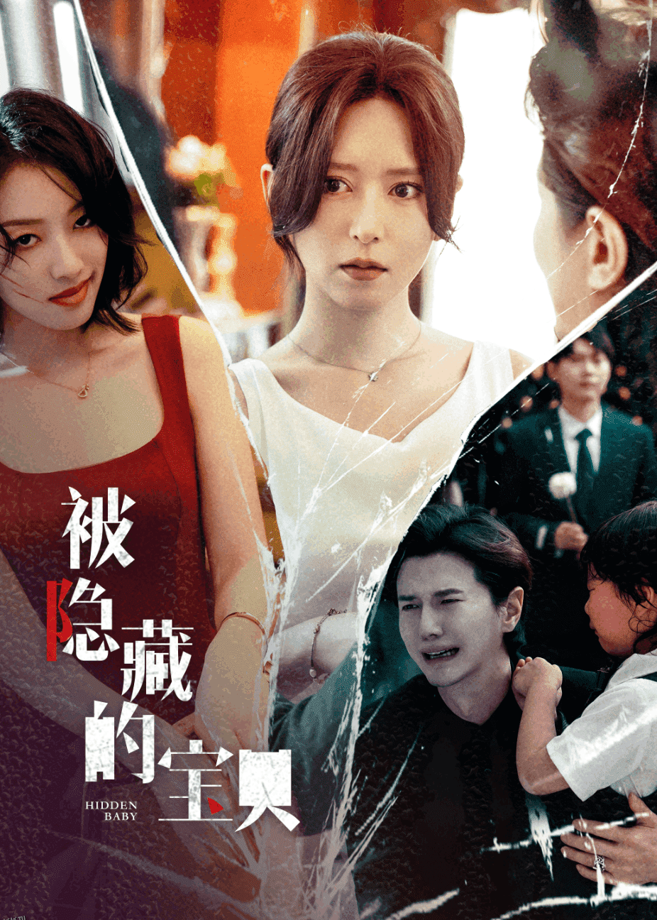 被隐藏的宝贝 海报