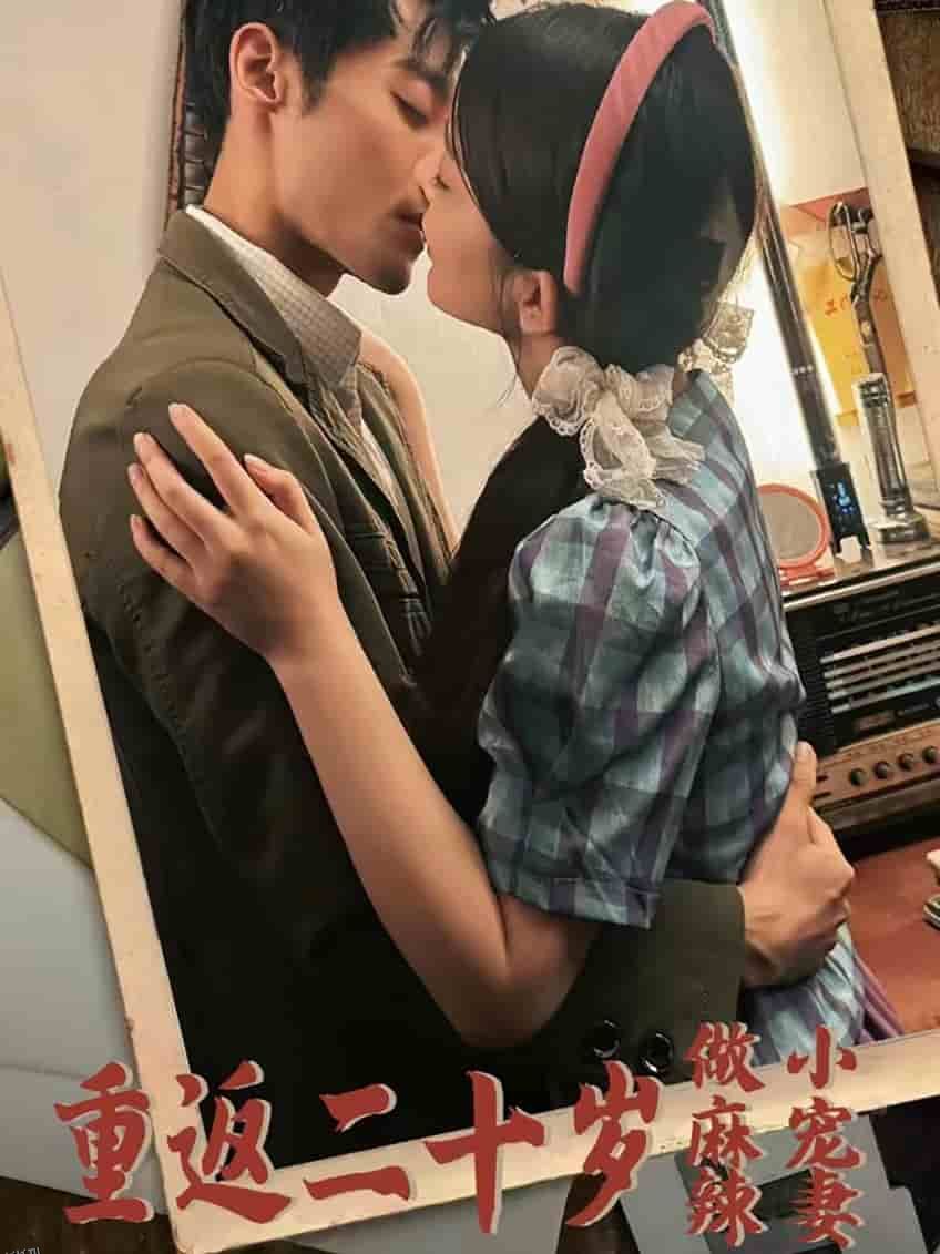 重返二十岁做麻辣小宠妻 海报