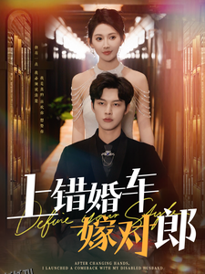 上错婚车嫁对郎 高清海报