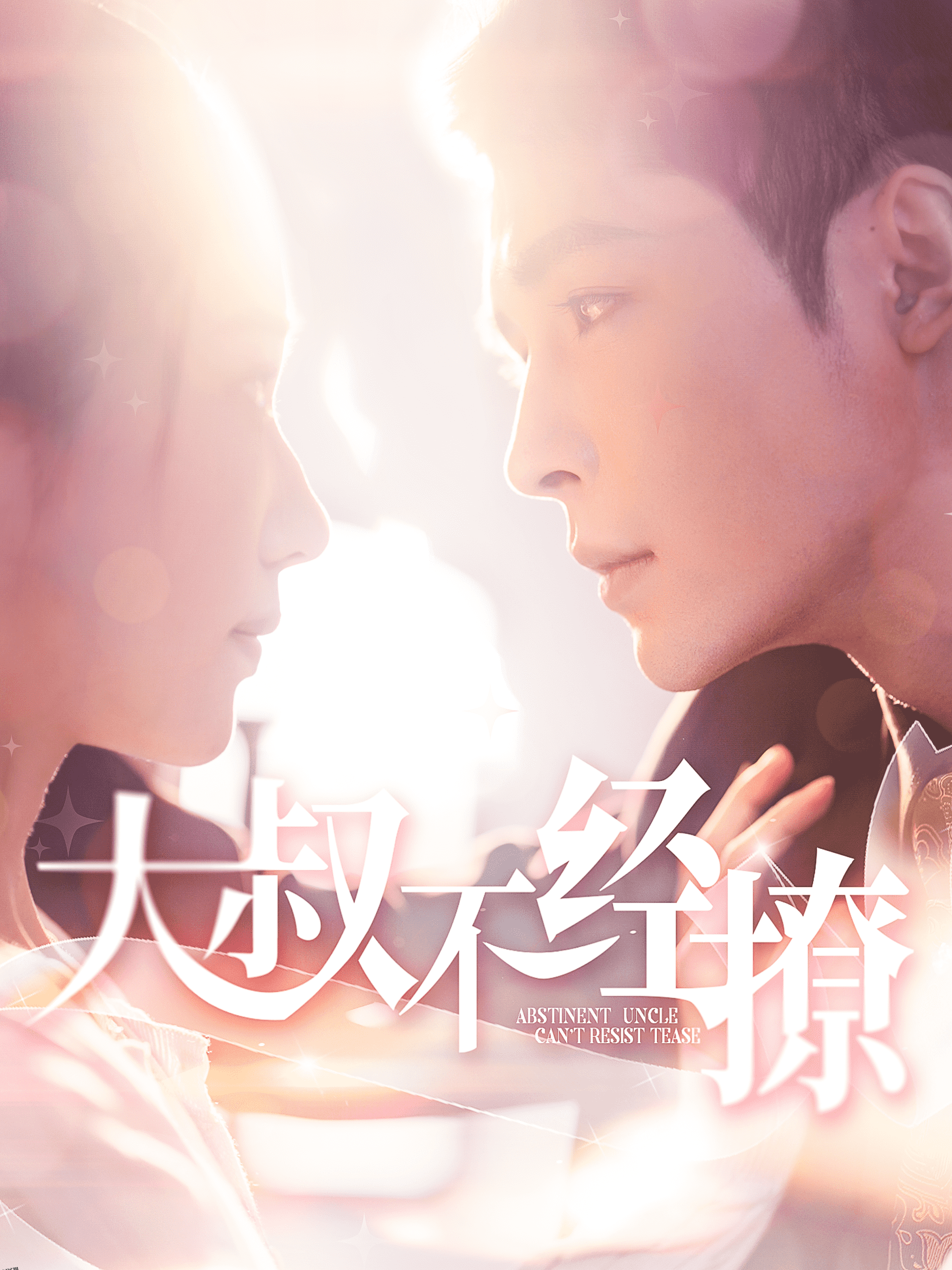 大叔不经撩 海报