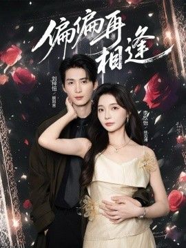 偏偏再相逢 海报