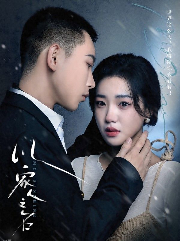 以家人之名 短剧版 海报