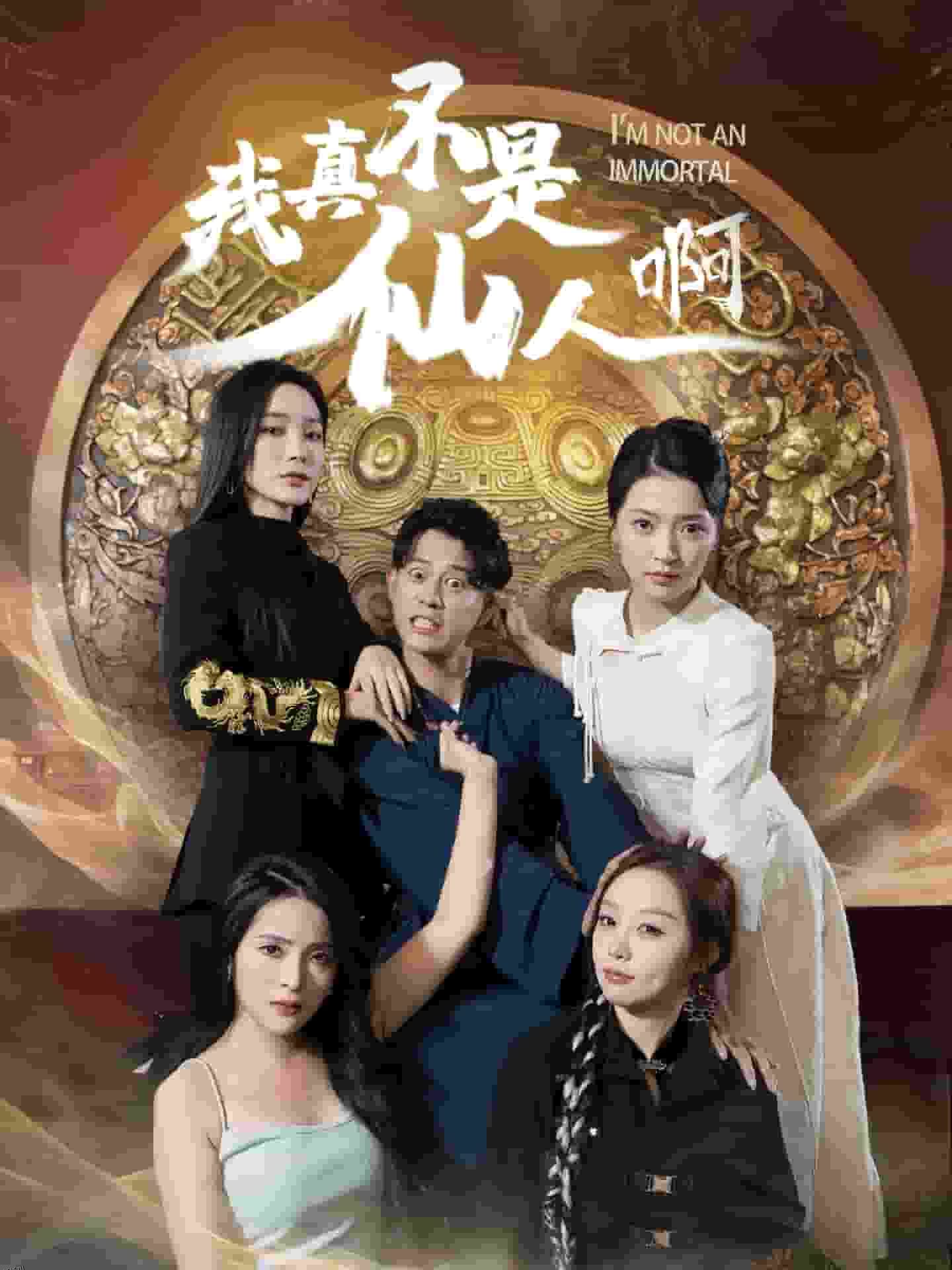 我真不是仙人啊 高清海报