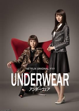 内衣白领风云 海报